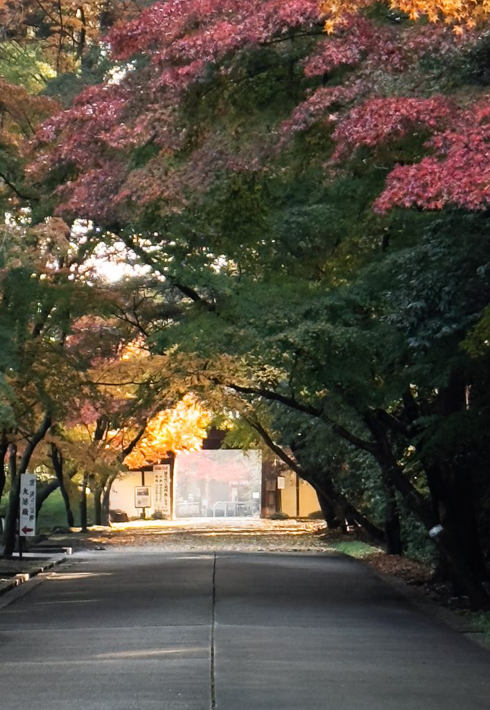 Tree-lined approach to Tofukuji Temple turning into a tunnel of autumn color