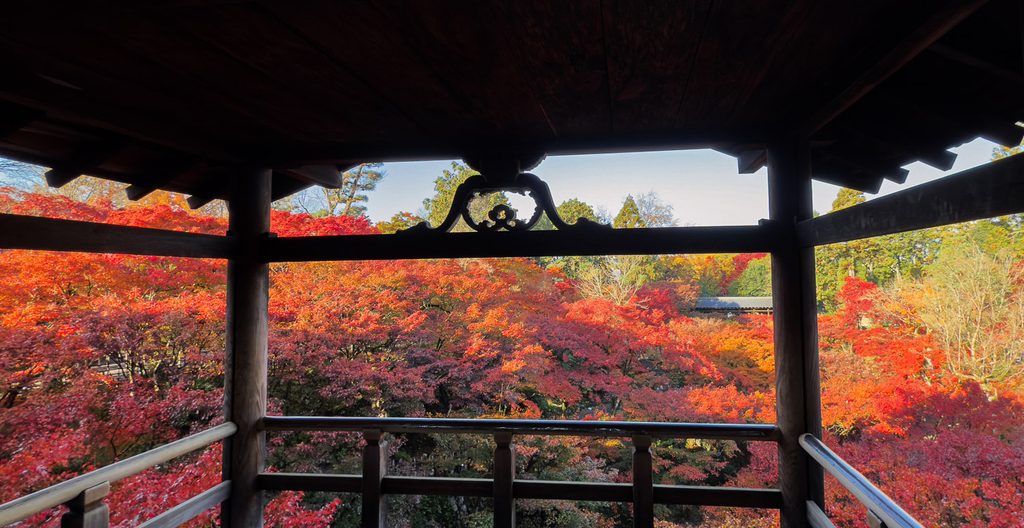 Empty viewing deck of Tsutenkyo Bridge overlooking a sea of autumn maples at Tofukuji Temple