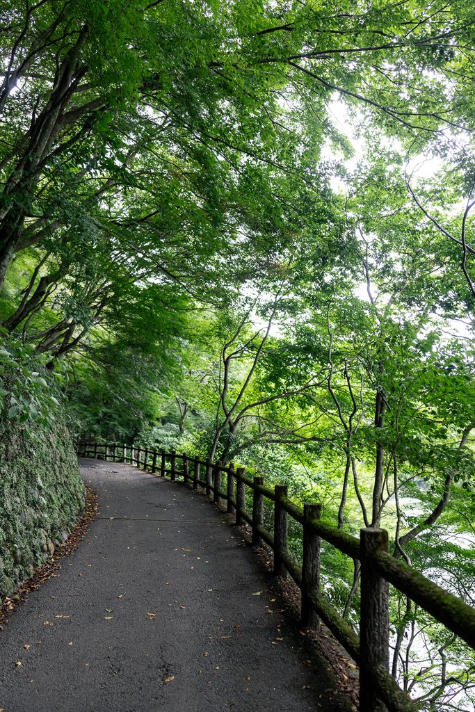 Quiet riverside walking path under green maple trees along the Hozu River in Arashiyama, Kyoto
