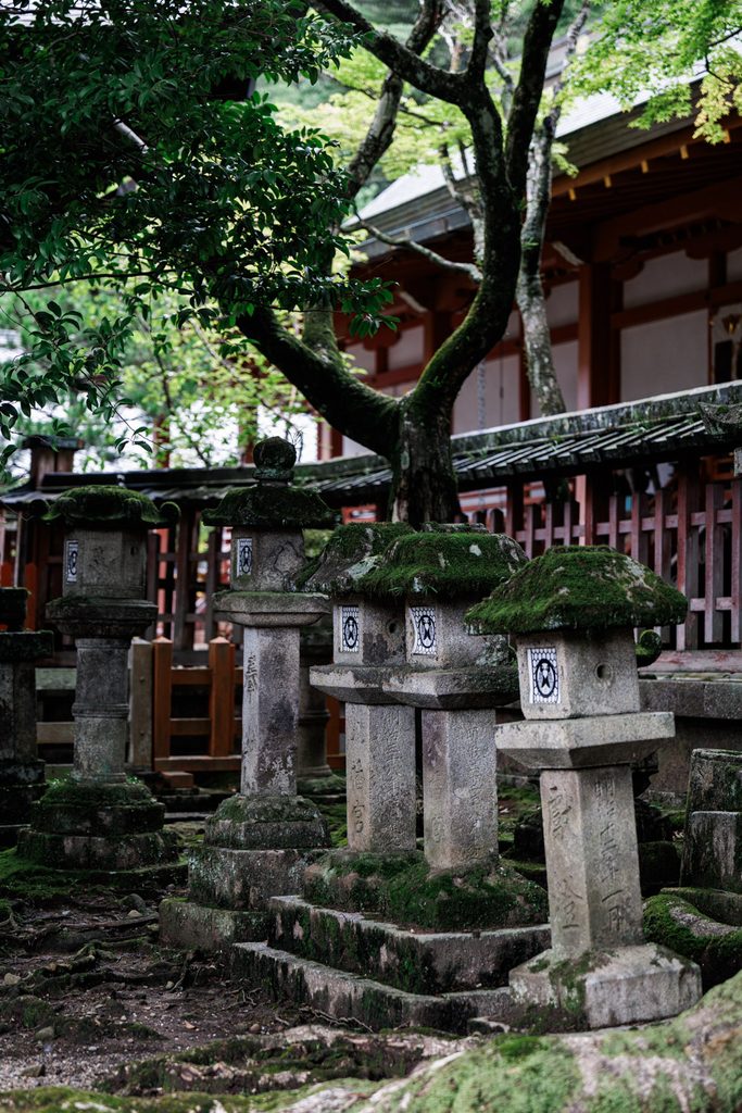 Moss-covered stone lanterns at Tamukeyama Hachimangu Shrine in Nara