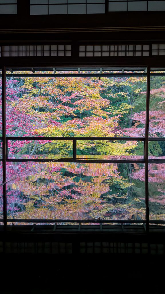 The reflection room of Rurikoin at peak autumn color