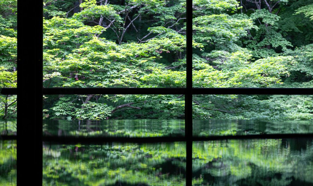 Garden maples framed by the window lattice at Rurikoin Temple