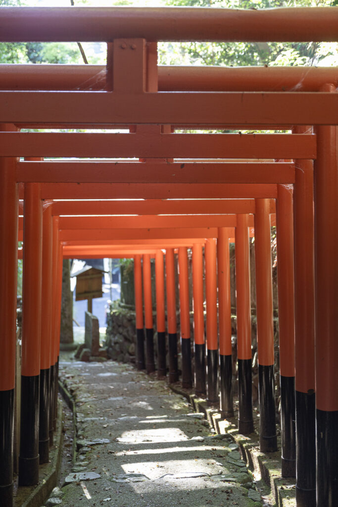 Tunnel of vermilion torii gates along the stone approach path to Tanukidani Fudoin temple