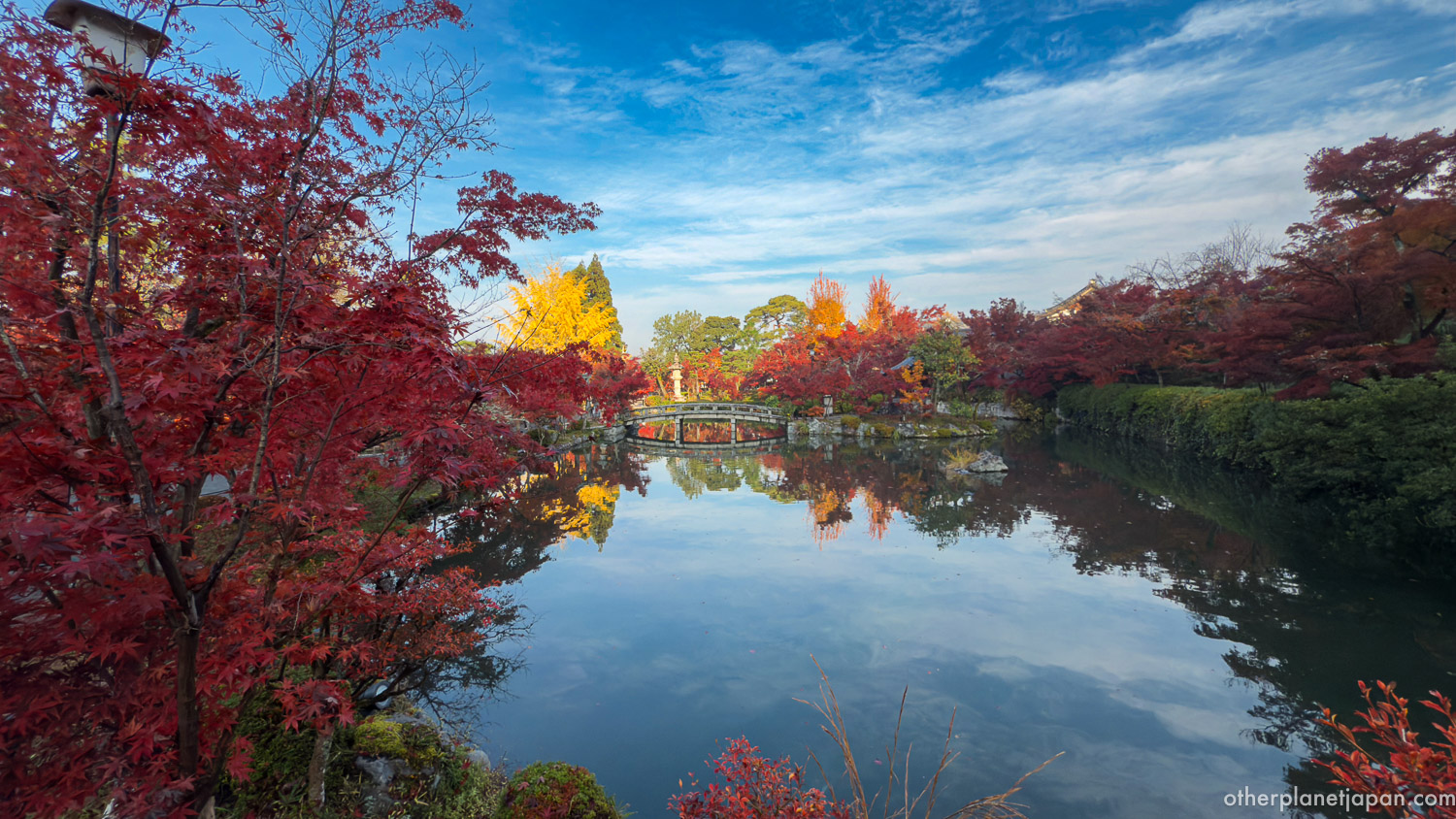 Red maples, a yellow ginkgo, and the Gokurakubashi bridge reflected in Hojo Pond under a blue sky at Eikando Temple in autumn
