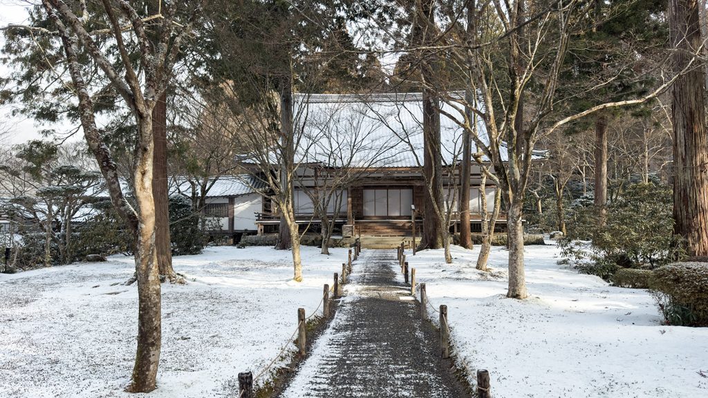 Snow-covered garden and gravel path leading to a temple hall between bare trees and cedars at Sanzenin in winter