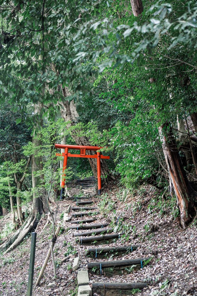 A red torii and log steps on the closed mountain trail behind Matsunoo Taisha, now off-limits to visitors
