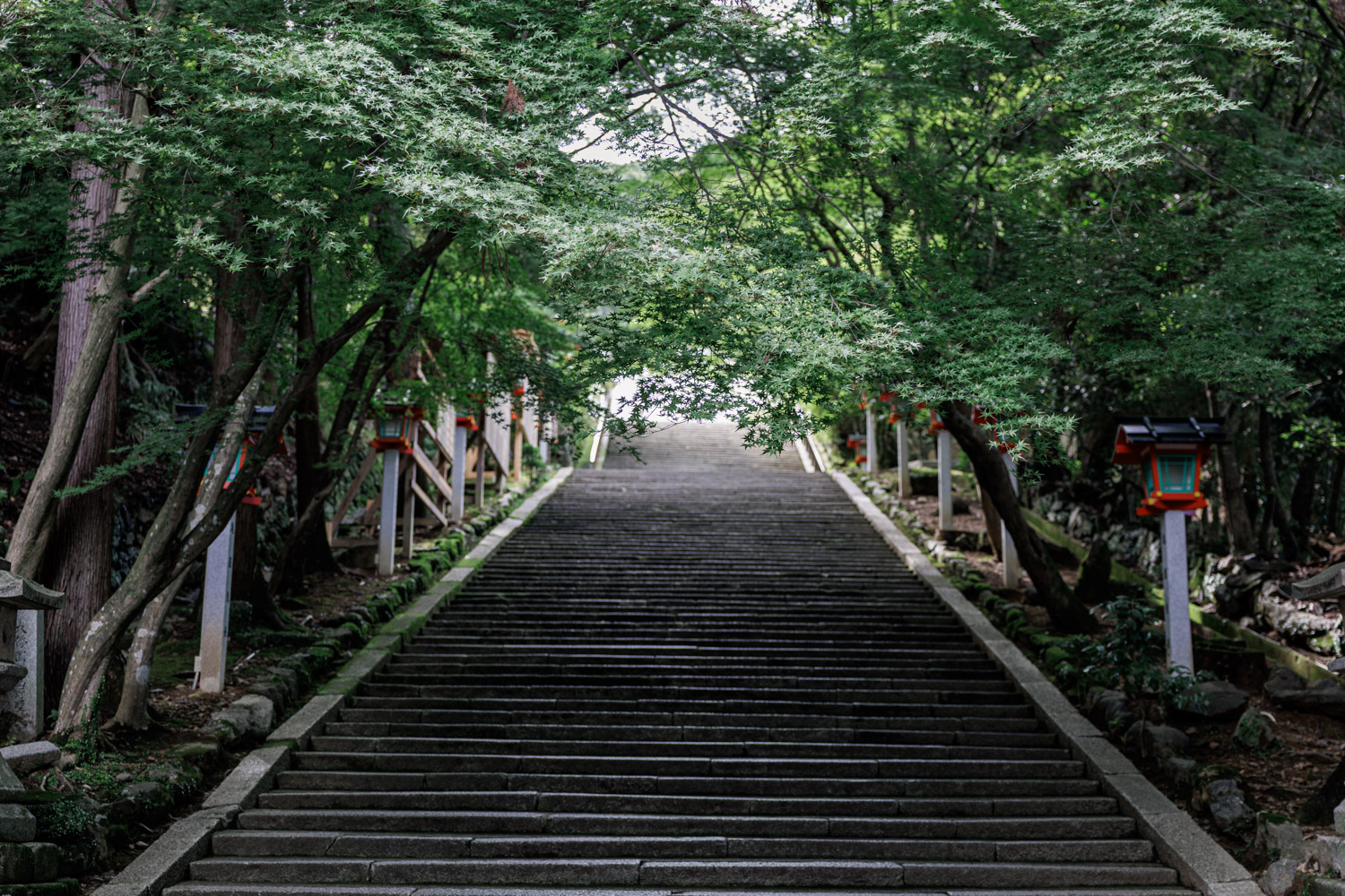 Wide stone staircase at Horinji Temple Arashiyama lined with lanterns under green maple leaves