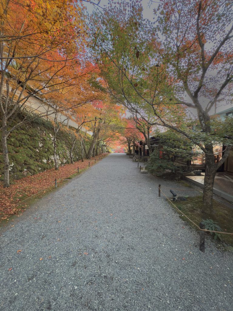 Gravel lane roofed with orange and red maples leading uphill past shops to Sanzenin Temple in Ohara, Kyoto