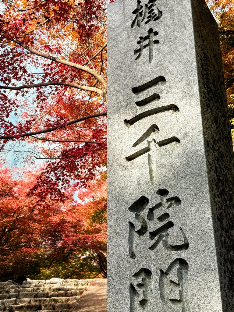 Stone marker carved with Sanzenin Monzeki beneath red maple branches at the temple approach in Ohara, Kyoto