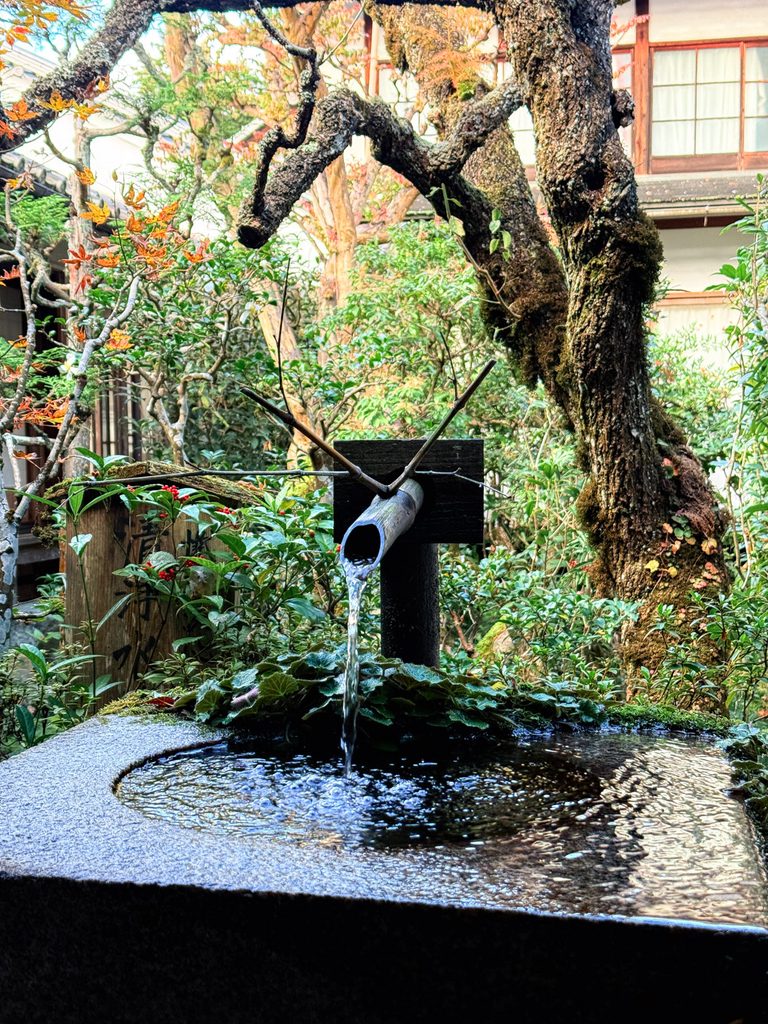 Water flowing from a bamboo spout into a stone basin in a temple garden at Sanzenin, Ohara