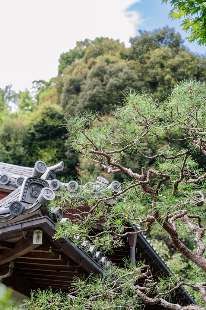 Curved roof tiles and a pine branch at Suzumushi-dera Temple in Nishikyo Ward, Kyoto