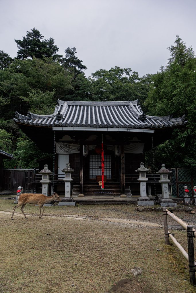 Fudodo, a small hall at Todaiji with a red banner at the entrance, and a deer walking past