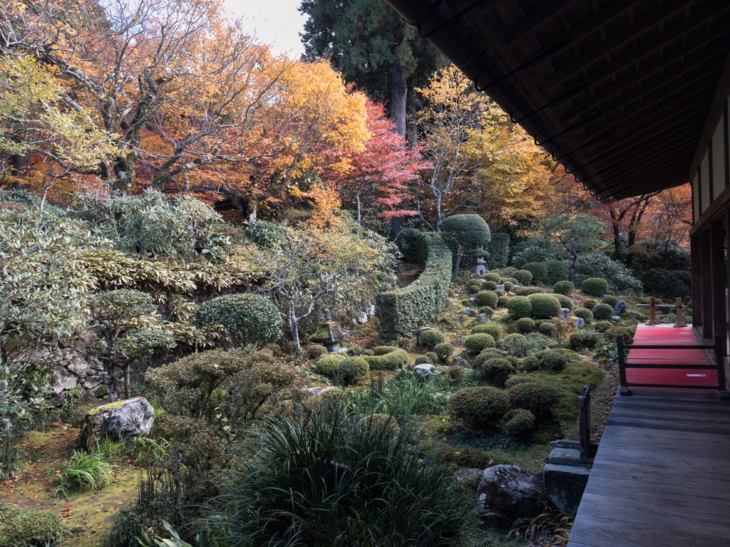 View of Shuhekien Garden with clipped shrubs and autumn maples from the wooden veranda of the Kyakuden hall at Sanzenin Temple