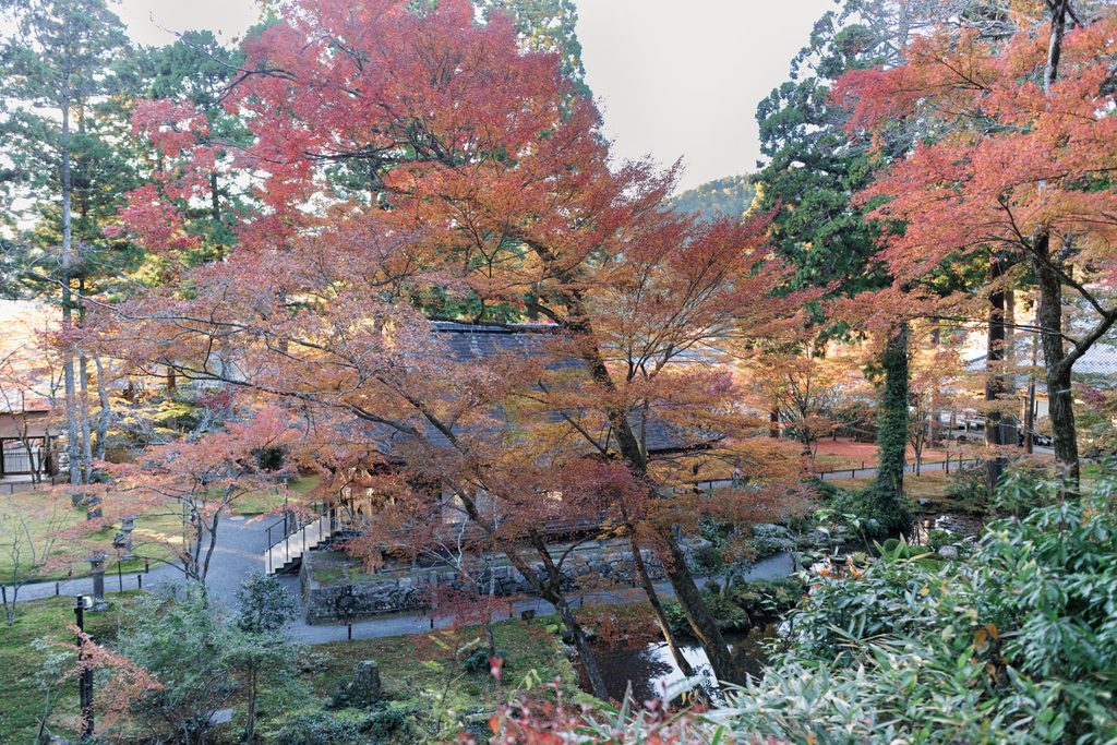Temple hall with tiled roof seen through orange and red maple canopy at Sanzenin Temple, Ohara, Kyoto