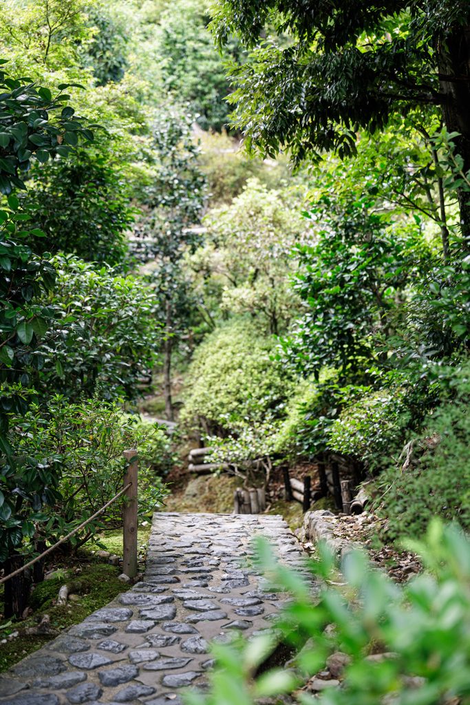 Stone paved path descending through greenery at the entrance to Suzumushi-dera Temple in Kyoto